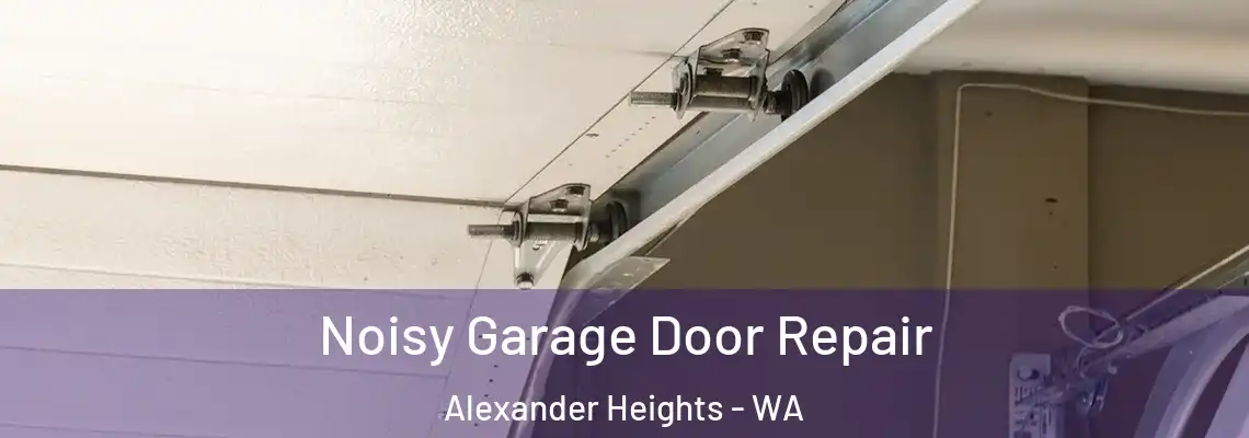 Noisy Garage Door Repair Alexander Heights - WA