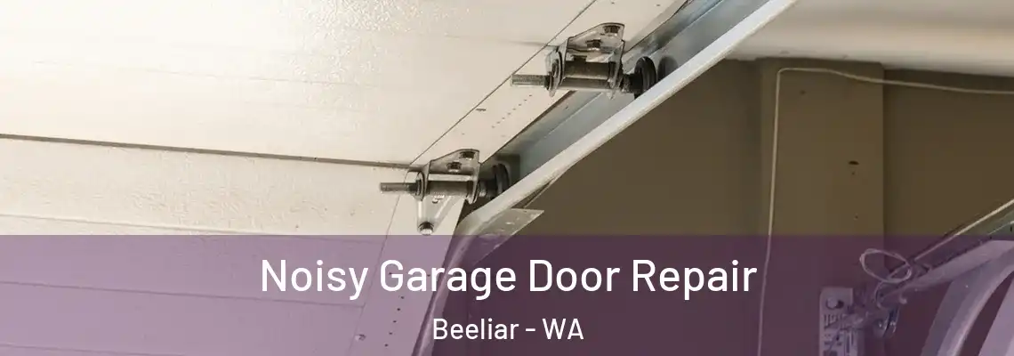 Noisy Garage Door Repair Beeliar - WA