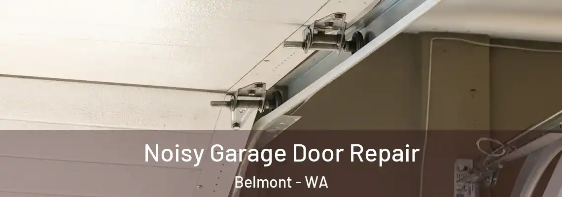 Noisy Garage Door Repair Belmont - WA