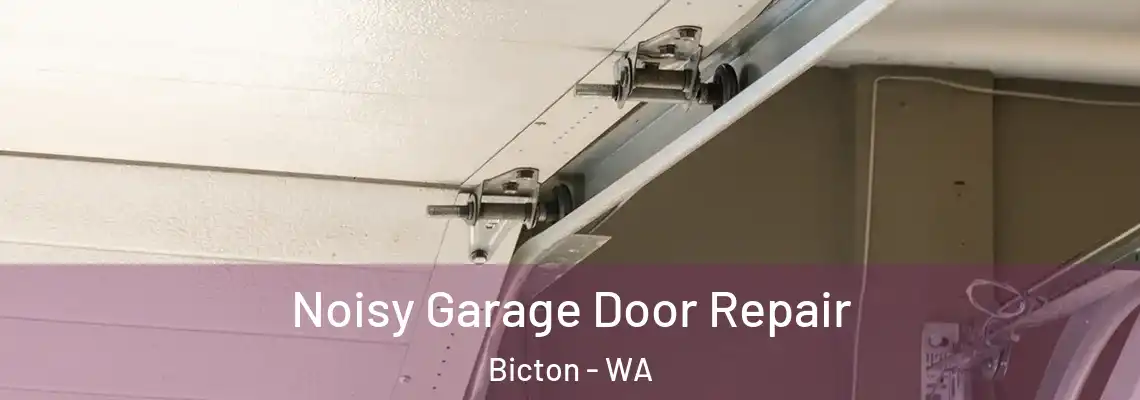 Noisy Garage Door Repair Bicton - WA