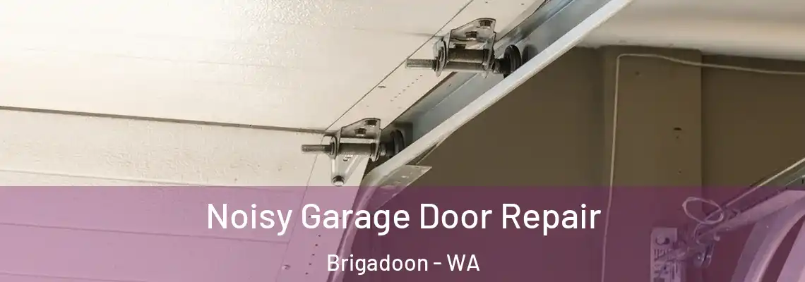 Noisy Garage Door Repair Brigadoon - WA