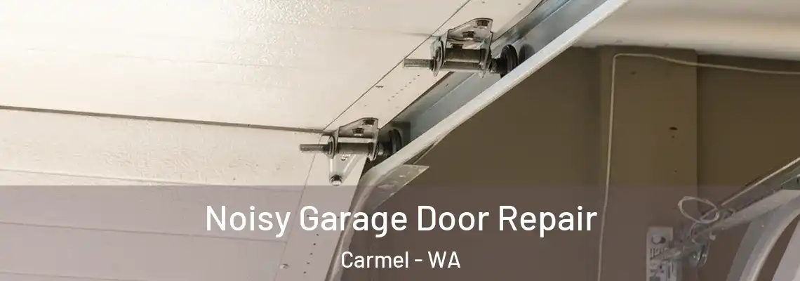 Noisy Garage Door Repair Carmel - WA