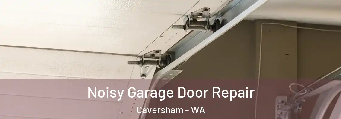 Noisy Garage Door Repair Caversham - WA