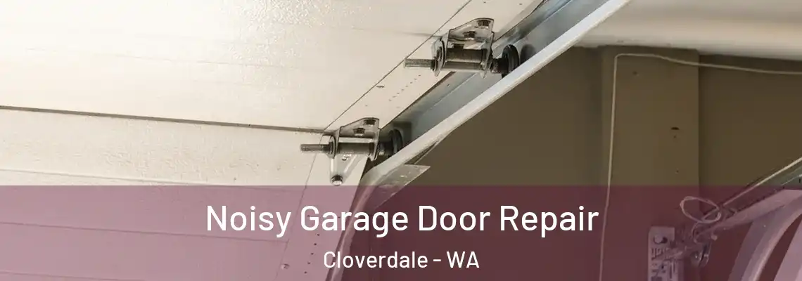 Noisy Garage Door Repair Cloverdale - WA