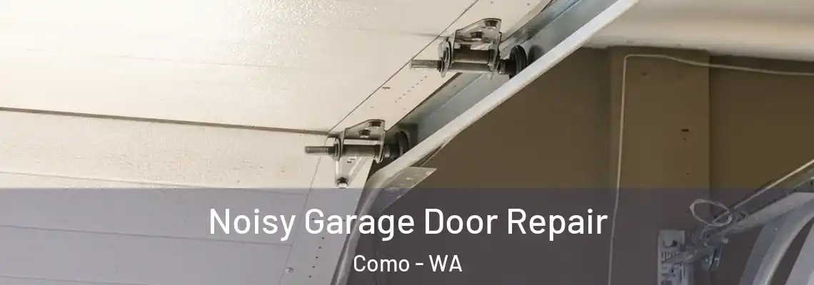 Noisy Garage Door Repair Como - WA