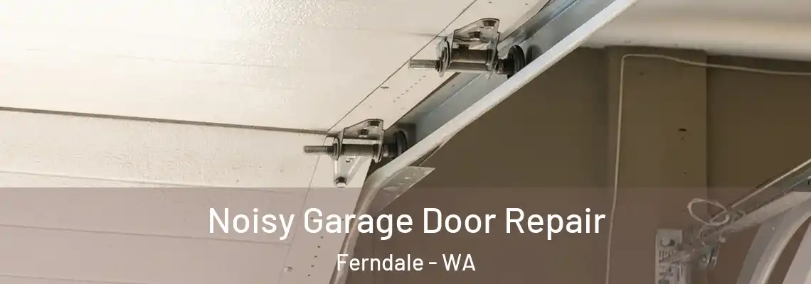 Noisy Garage Door Repair Ferndale - WA
