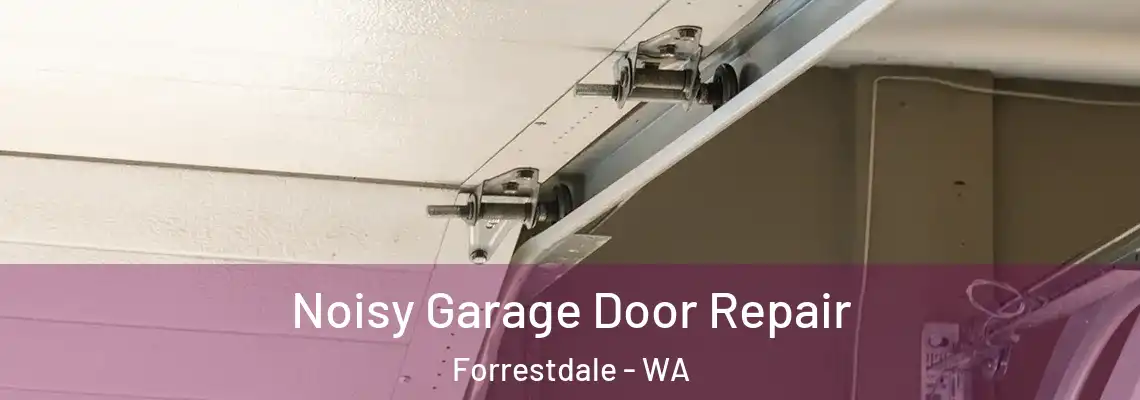 Noisy Garage Door Repair Forrestdale - WA