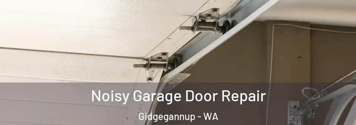 Noisy Garage Door Repair Gidgegannup - WA