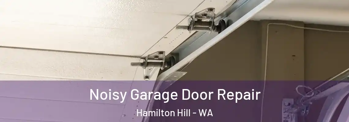 Noisy Garage Door Repair Hamilton Hill - WA