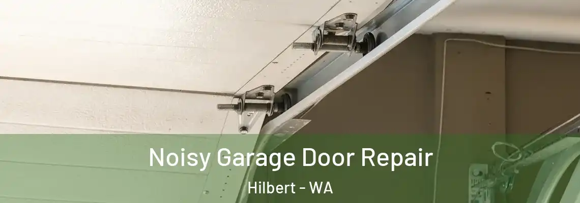 Noisy Garage Door Repair Hilbert - WA