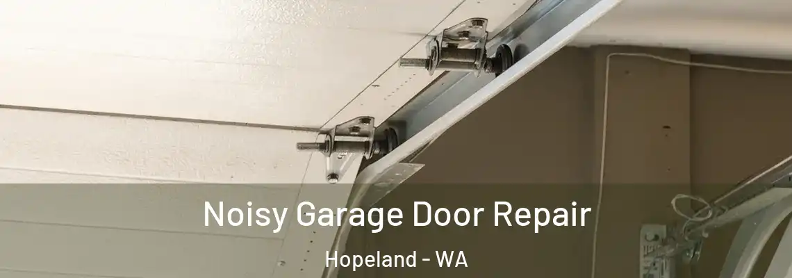 Noisy Garage Door Repair Hopeland - WA