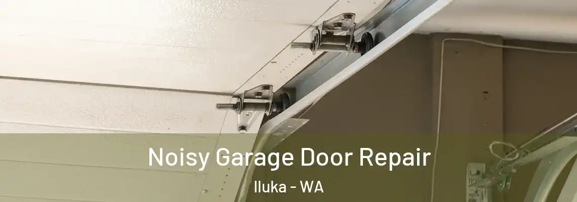 Noisy Garage Door Repair Iluka - WA