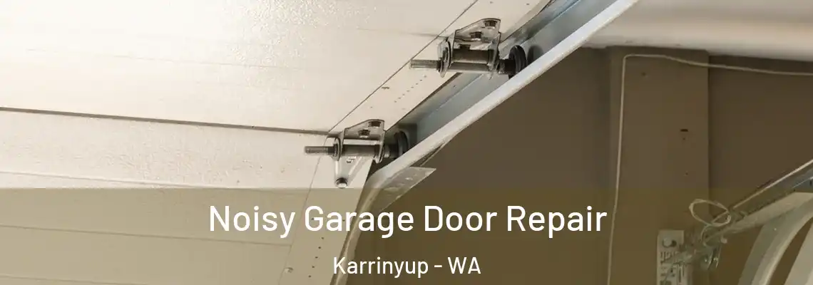 Noisy Garage Door Repair Karrinyup - WA