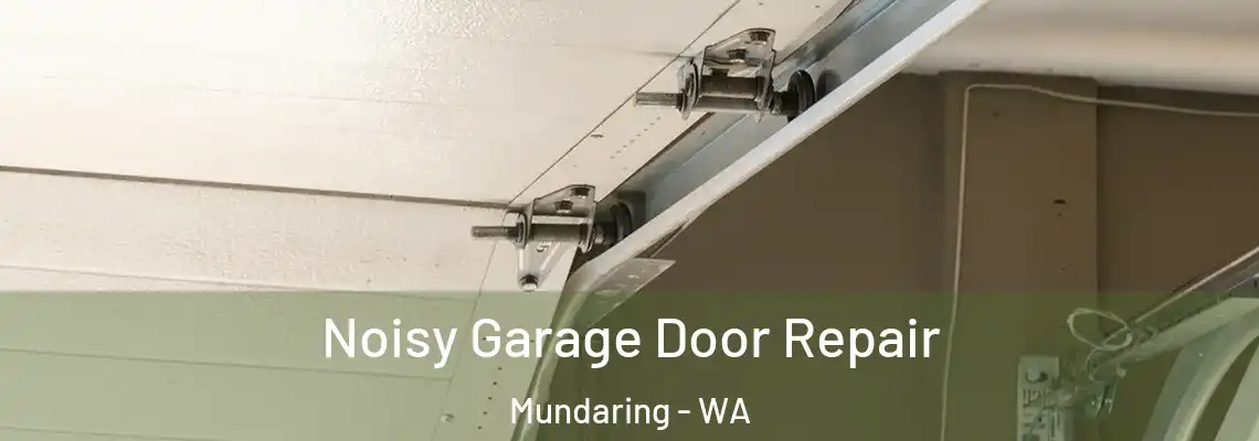 Noisy Garage Door Repair Mundaring - WA