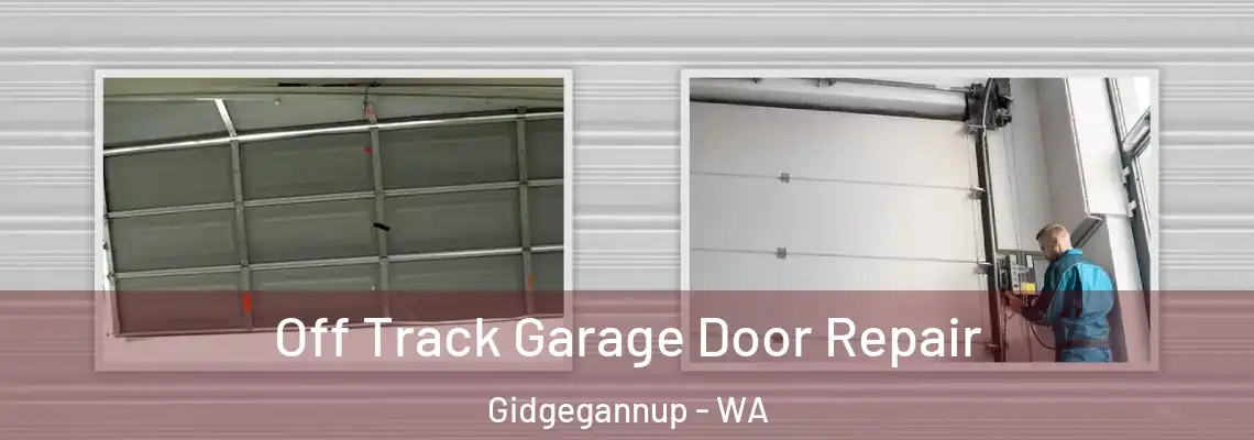 Off Track Garage Door Repair Gidgegannup - WA