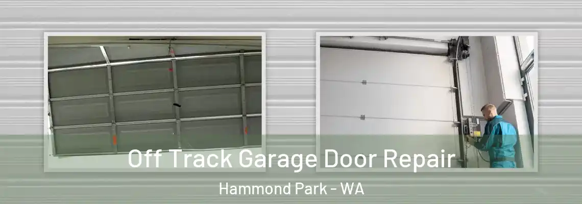 Off Track Garage Door Repair Hammond Park - WA