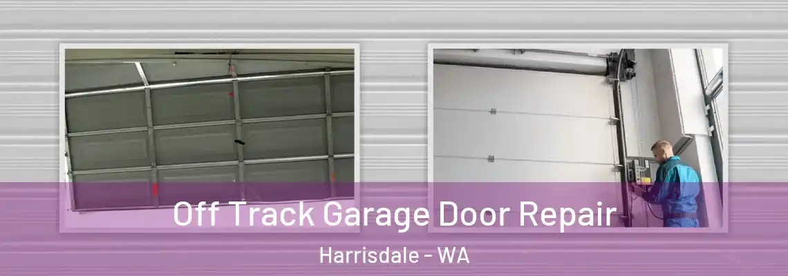  Off Track Garage Door Repair Harrisdale - WA