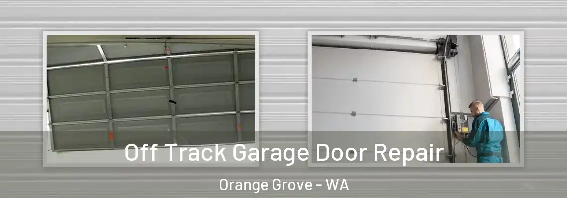 Off Track Garage Door Repair Orange Grove - WA