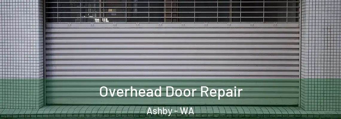 Overhead Door Repair Ashby - WA