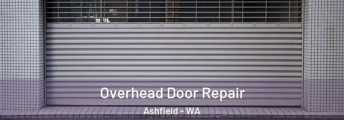 Overhead Door Repair Ashfield - WA