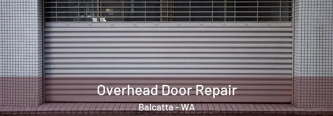 Overhead Door Repair Balcatta - WA