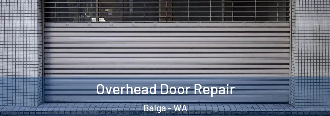 Overhead Door Repair Balga - WA