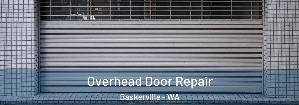 Overhead Door Repair Baskerville - WA