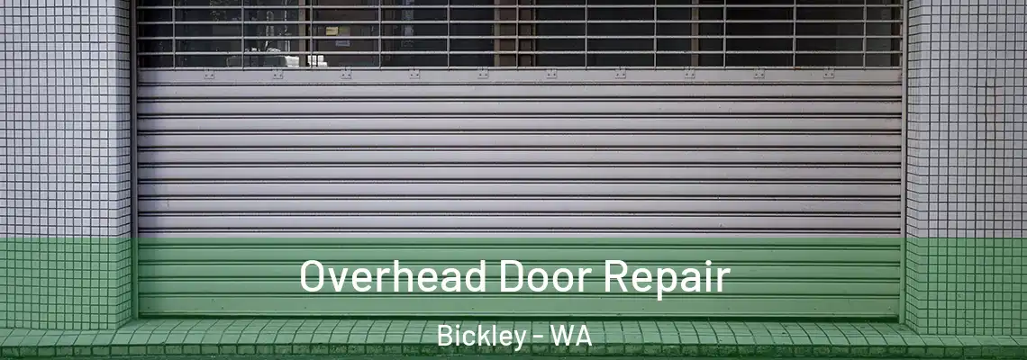 Overhead Door Repair Bickley - WA