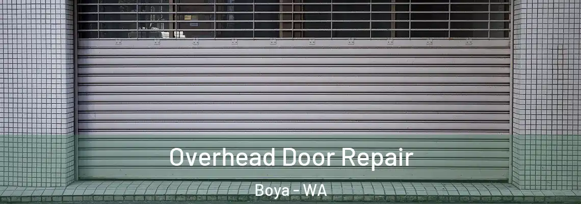 Overhead Door Repair Boya - WA