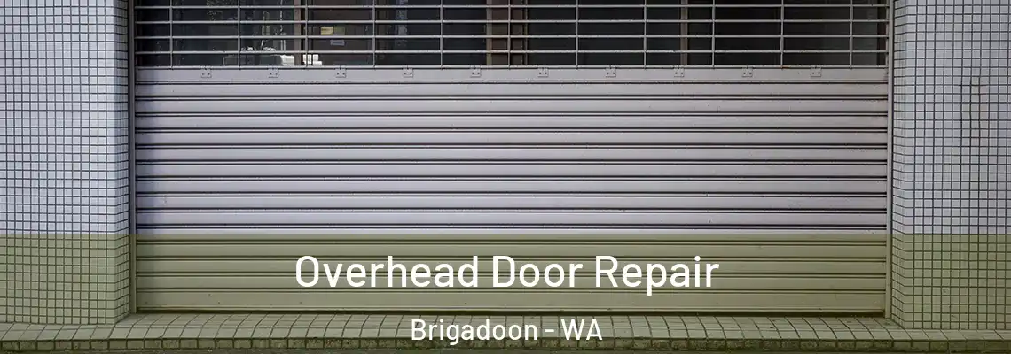 Overhead Door Repair Brigadoon - WA