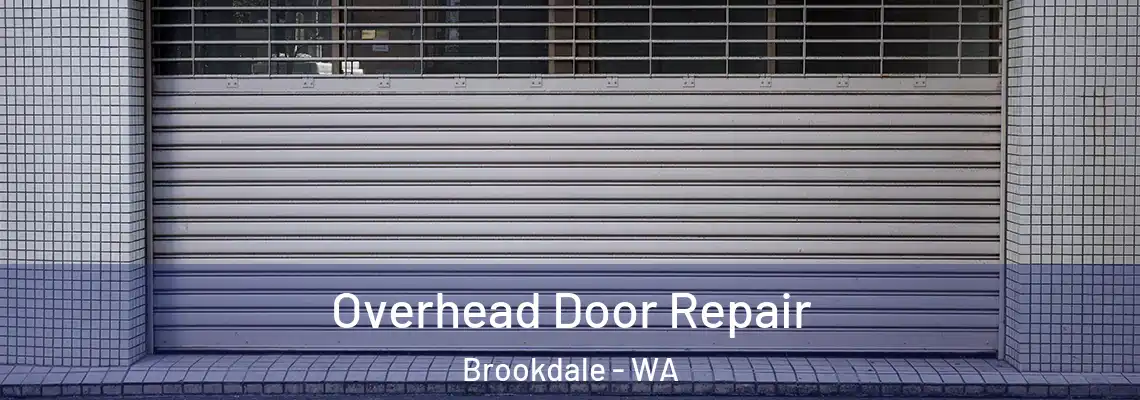 Overhead Door Repair Brookdale - WA