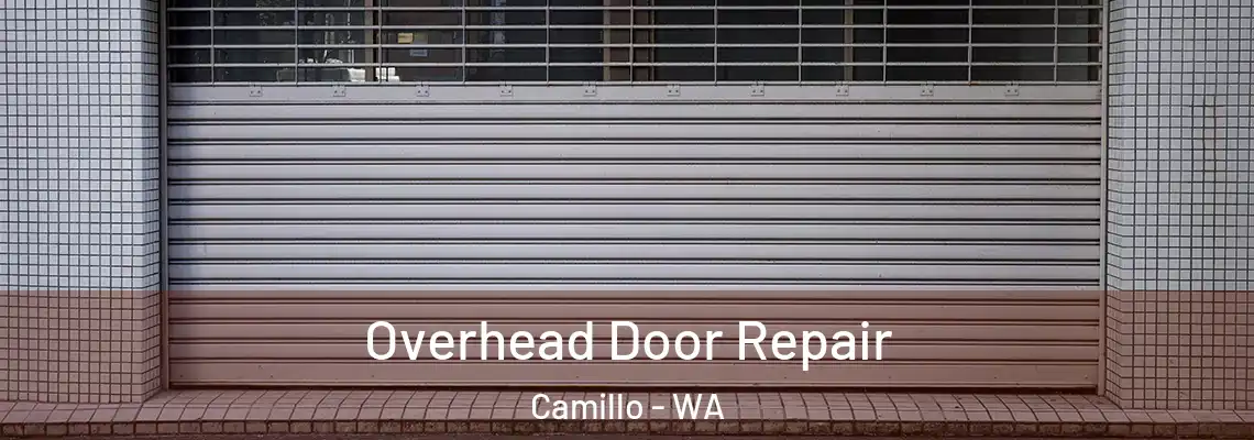 Overhead Door Repair Camillo - WA