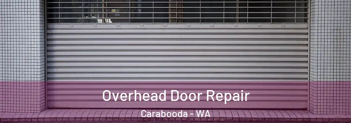 Overhead Door Repair Carabooda - WA