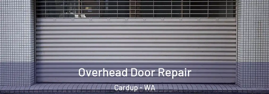 Overhead Door Repair Cardup - WA