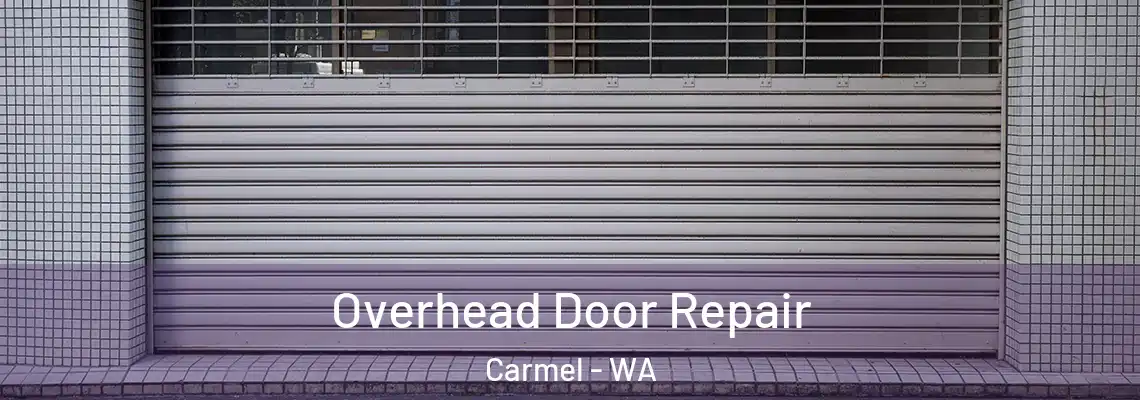  Overhead Door Repair Carmel - WA