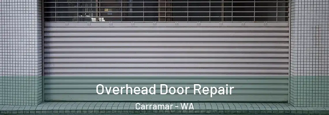 Overhead Door Repair Carramar - WA
