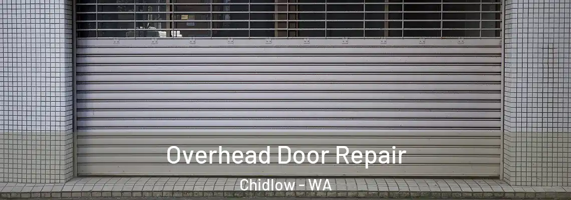 Overhead Door Repair Chidlow - WA