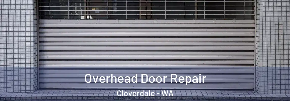 Overhead Door Repair Cloverdale - WA