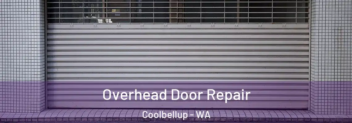 Overhead Door Repair Coolbellup - WA