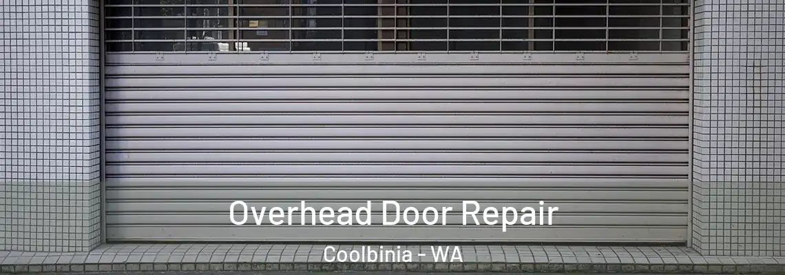 Overhead Door Repair Coolbinia - WA