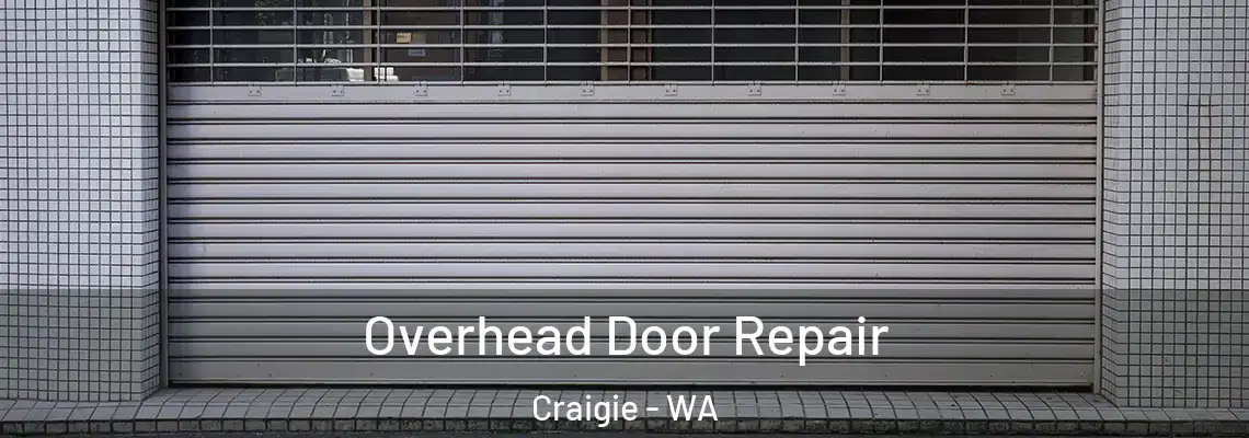 Overhead Door Repair Craigie - WA