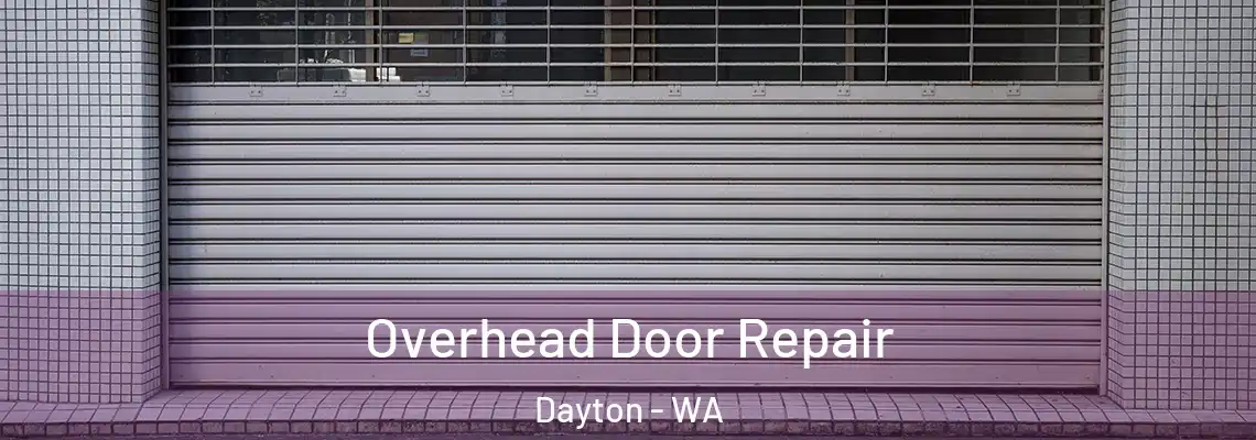  Overhead Door Repair Dayton - WA