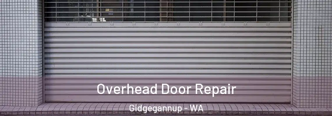 Overhead Door Repair Gidgegannup - WA