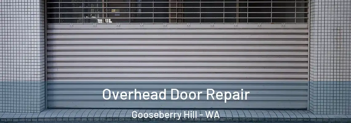 Overhead Door Repair Gooseberry Hill - WA