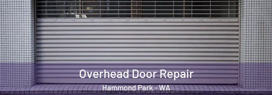 Overhead Door Repair Hammond Park - WA