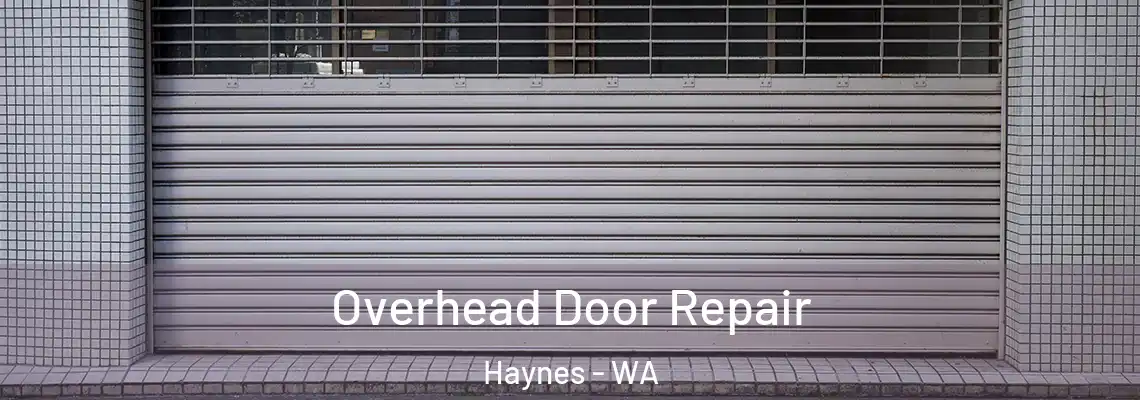 Overhead Door Repair Haynes - WA