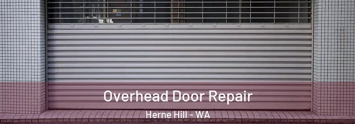 Overhead Door Repair Herne Hill - WA
