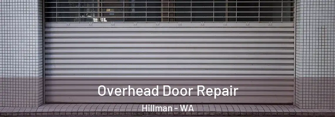 Overhead Door Repair Hillman - WA