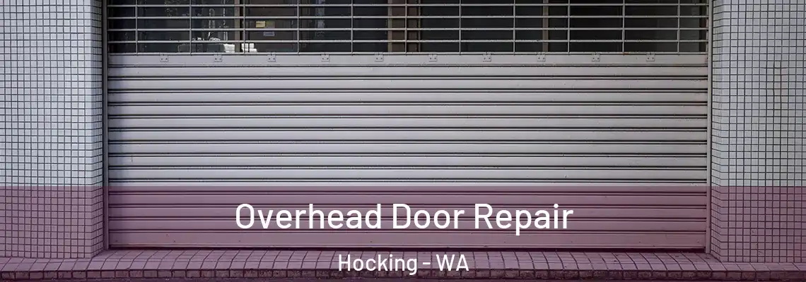 Overhead Door Repair Hocking - WA