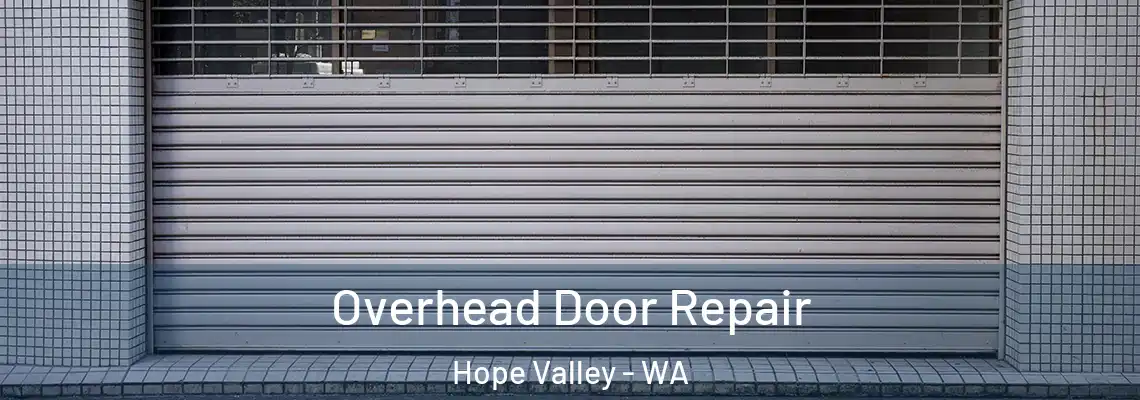 Overhead Door Repair Hope Valley - WA